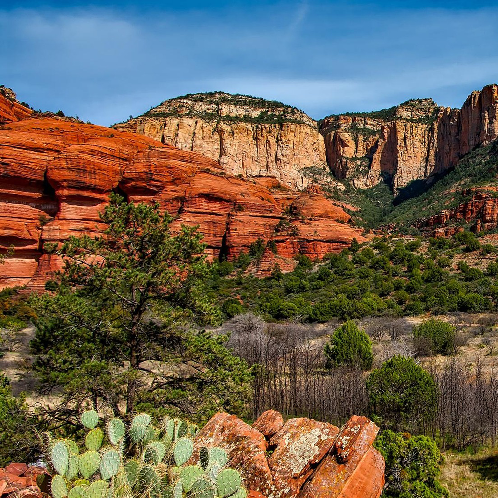 restaurant-pos-arizona